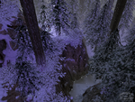 DungeonSiege-Snowy Forest.png