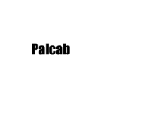 Jak II Palcab.png