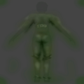 Hl2proto female back.png