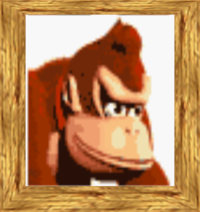 Dk64 dkportrait.png