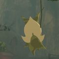 BotW-Hc-Korok.jpg