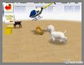 NintendogsFebruary2005Screenshot29.jpg