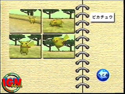 Pokemonsnap CameraCheckPrerelease.png