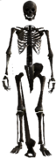 FalloutNV-OWB AnimatronicSkeleton.png