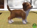 NintendogsMarch14-2005Screenshot12.jpg