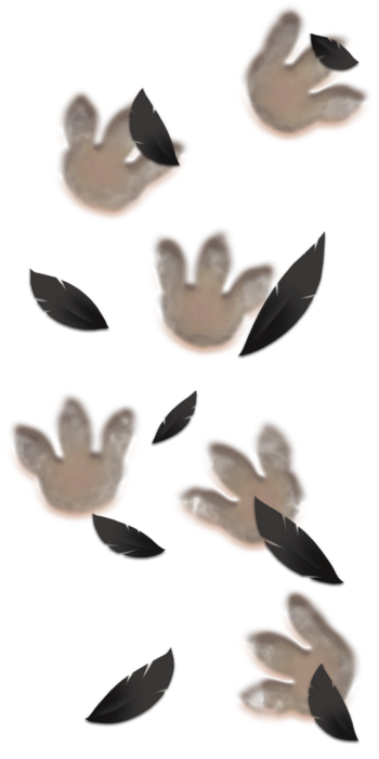 AHatIntime bird footprints turn(Original).png