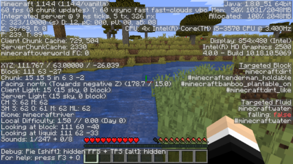 Minecraft-F3DebugMenu.png