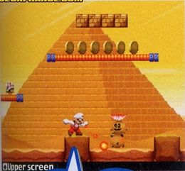 Nsmb-Prerelease unuseddesert.jpg