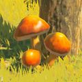 BotW-Hc-Sunshroom.jpg