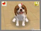 NintendogsFebruary2005Screenshot16.jpg