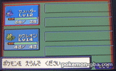 3-4 PKMNRS-Festa2002.gif