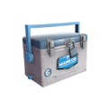 TeamFortress2-crate summer cooler6 largenew.png