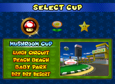 MKDD Final Select Cup.png