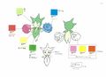 PKMNRS Roselia Concept Art ColourRef.jpeg