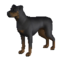 Sims2PetsPS2-FIN d pet breeds large 25.png