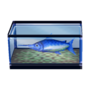 Blue Marlin DnMe+ Furniture Model.png