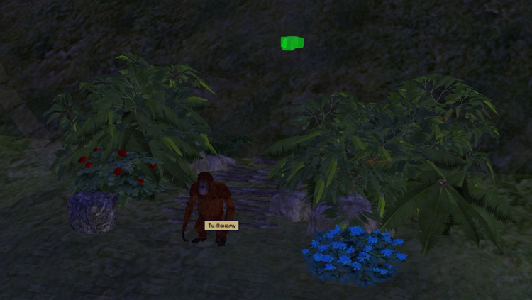 TSSCS orangutan in wanmami valley village.png