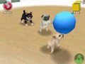 NintendogsJanuary2005Screenshot3.jpg