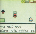 PKMN GS Flyer Screenshot 1.png