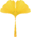 Pikmin2Leaf yellowEarly.png