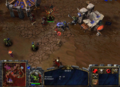 WarcraftAlphaGrunt01.png