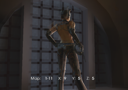 Catwoman-debugmenu2.png