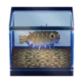 Balloonfish DnMe+ Furniture Model.png