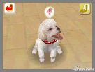 NintendogsFebruary2005Screenshot3.jpg