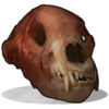 Rust Unused Bear Skull.png