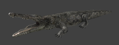 DemonSouls Crocodile.PNG