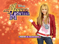 HannahmontanaJAKKS-title.png