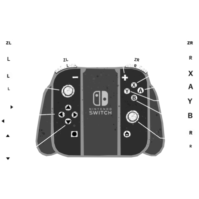 SN-SwitchControls.png