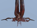 Bloodborne Unused Presence.png