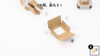 Nintendo-Labo-Var-Proto-HusMain 0584 JPja.JPG