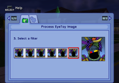 Sims2PS2-M420 EyeToy-Filters.png