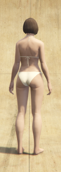 GTAV-PC-Unused Karen Daniels Undergarments - Back.png