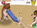 NintendogsJanuary2005Screenshot8.jpg