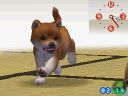 NintendogsMarch14-2005Screenshot8.jpg