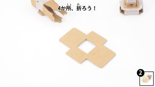 Nintendo-Labo-Var-Proto-HusMain 0574 JPja.JPG