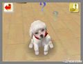 NintendogsFebruary2005Screenshot4.jpg