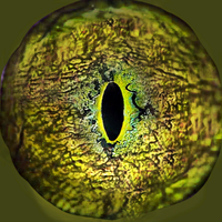 MHO-em059 eye texture.png