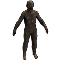 Rust.attire.mummysuit.png