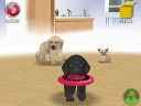 NintendogsJanuary2005Screenshot9.jpg