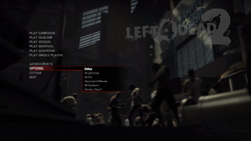 L4D2-1010OptionsSubMenus.png