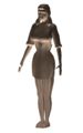 HLSDev femsci render01.png