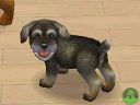 NintendogsMarch14-2005Screenshot18.jpg