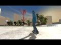 File:Skate2 1119.mp4