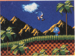 Sonic the Hedgehog (lost Tokyo Toy Show prototype build of Sega  Genesis/Mega Drive platformer; 1990) - The Lost Media Wiki