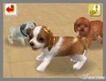 NintendogsFebruary2005Screenshot23.jpg