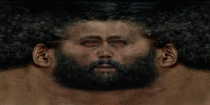 Hl2final van facemap.png